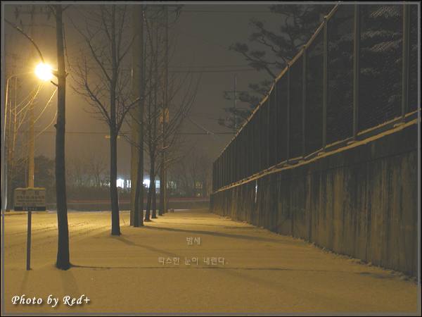 2003_snow4.jpg